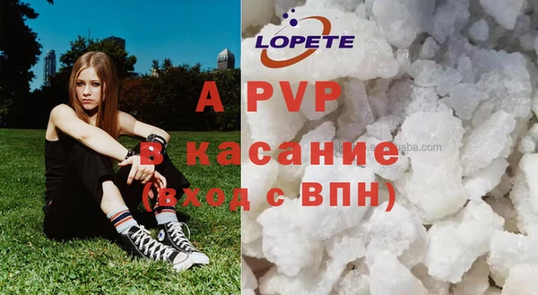 крисы Белоозёрский