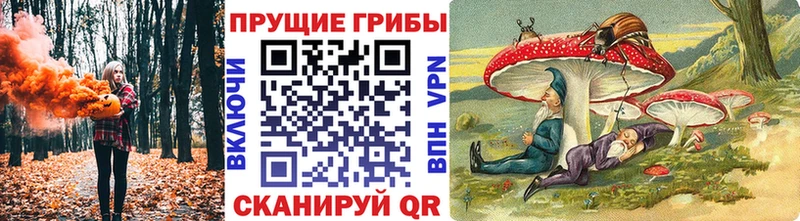 Псилоцибиновые грибы Magic Shrooms  Гай 